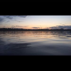 Meet your Posher, Elsie